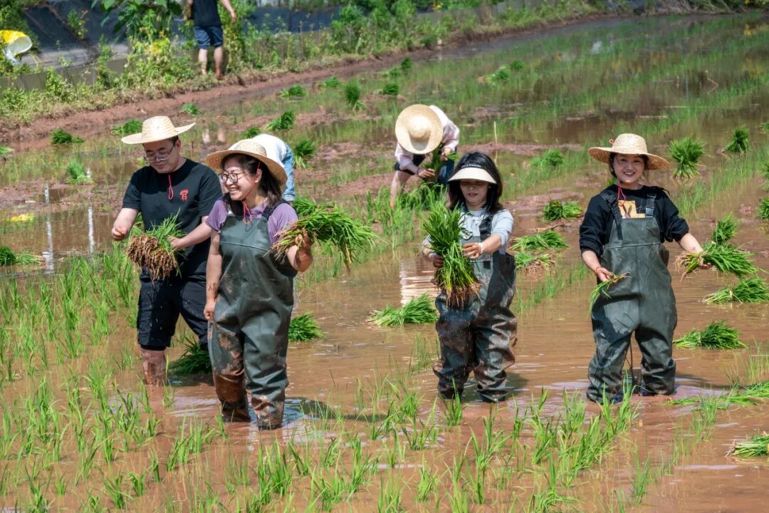 2DCD8
